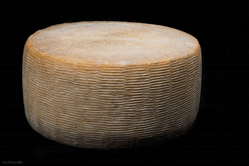 PECORINO RISERVA DE CALABRE – AFFINAGE 12 MOIS
